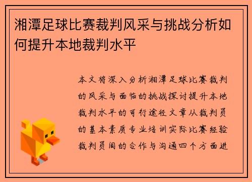 湘潭足球比赛裁判风采与挑战分析如何提升本地裁判水平