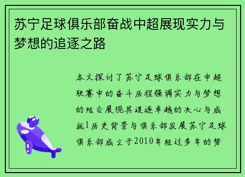 苏宁足球俱乐部奋战中超展现实力与梦想的追逐之路