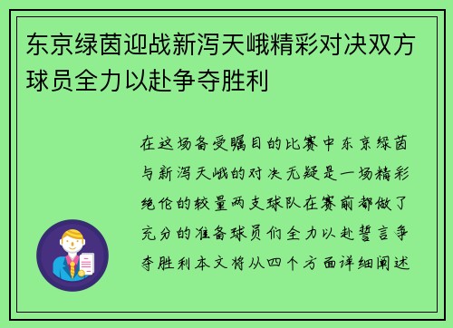 东京绿茵迎战新泻天峨精彩对决双方球员全力以赴争夺胜利
